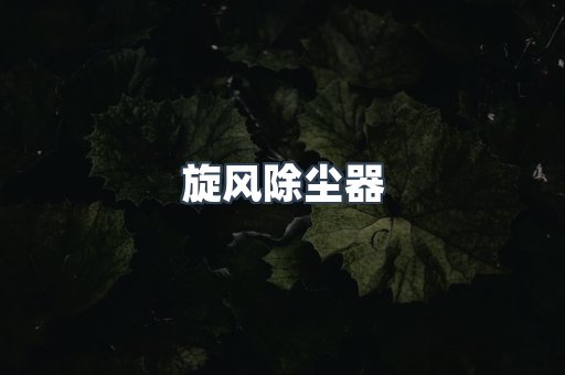 旋风除尘器